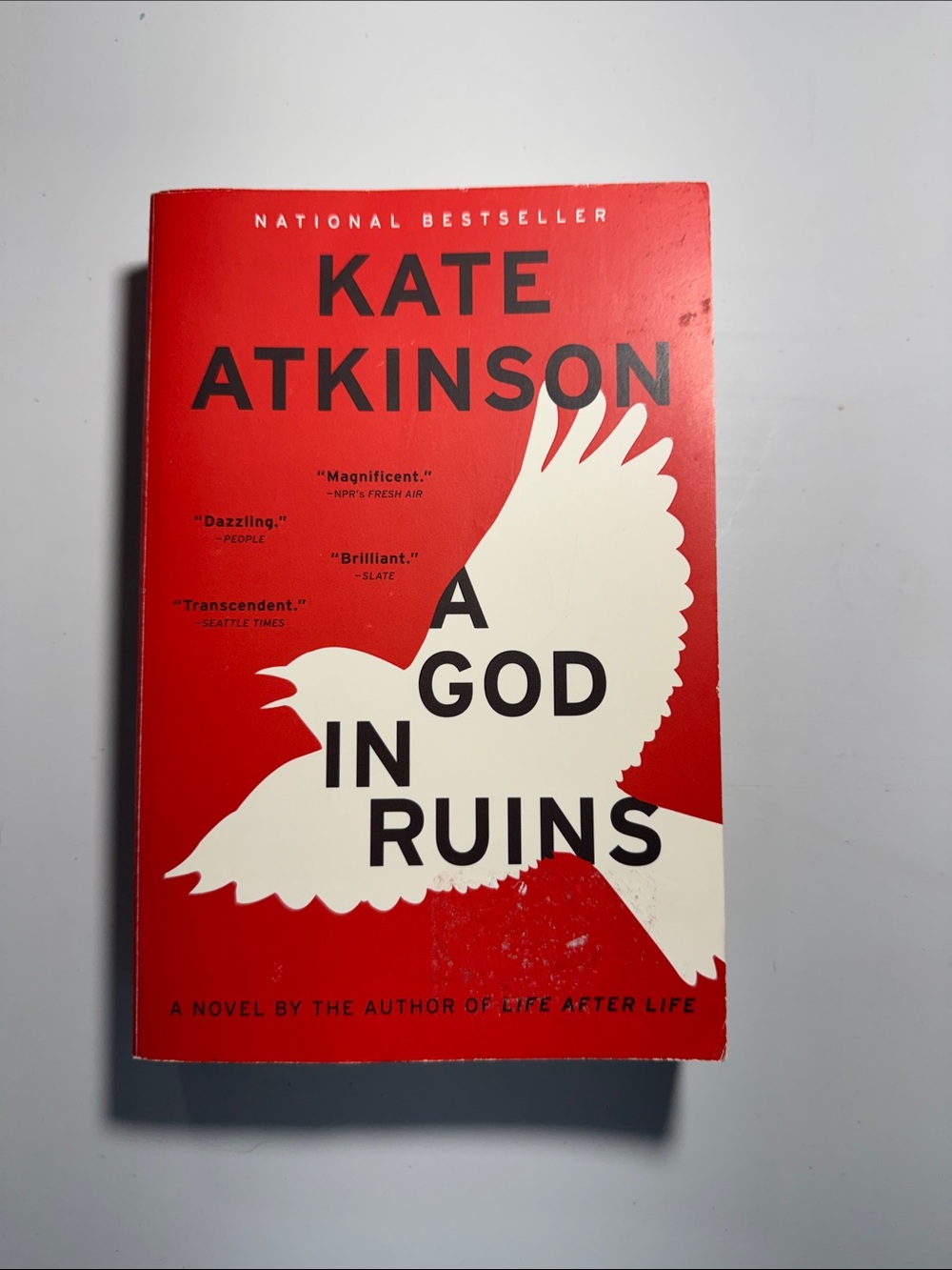 🌈2/$8  A God in Ruins #2 in the Todd Family Series